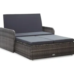 vidaXL 2-delige Loungeset met kussens poly rattan grijs Clearance