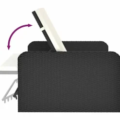 vidaXL 2-delige Loungeset met kussens poly rattan zwart