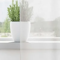 vidaXL Gordijnen van voile met ringen - Wit - 140x260 cm - Stof - 2 Stuks Best