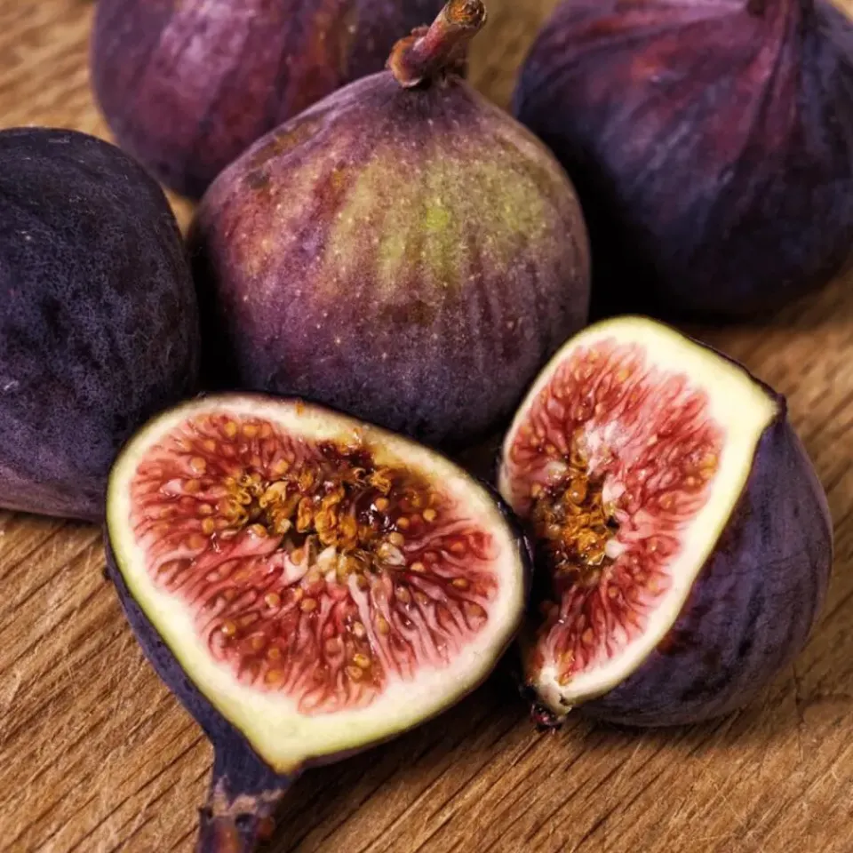 Plant in a Box Vijgenboom - Set van 2 - Ficus Carica - Hoogte 70-90cm - ⌀21cm