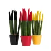 Plant in a Box Vrouwentong - Set van 3 - Sansevieria cylindrica - Hoogte 20-40cm - ⌀9cm Discount