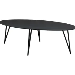 Dimehouse Zwart ovale eettafel Cesar 230x100 cm - Mangohout - Zwart Outlet