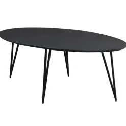 Dimehouse Zwart ovale eettafel Cesar 170x90 cm - Mangohout - Zwart New